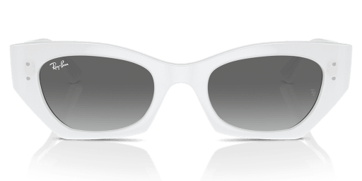 Ray-Ban 0RB4430