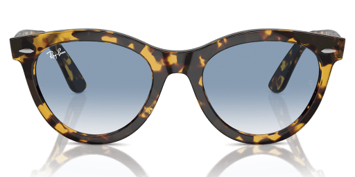 Ray-Ban 0RB2241 13323F EVOL